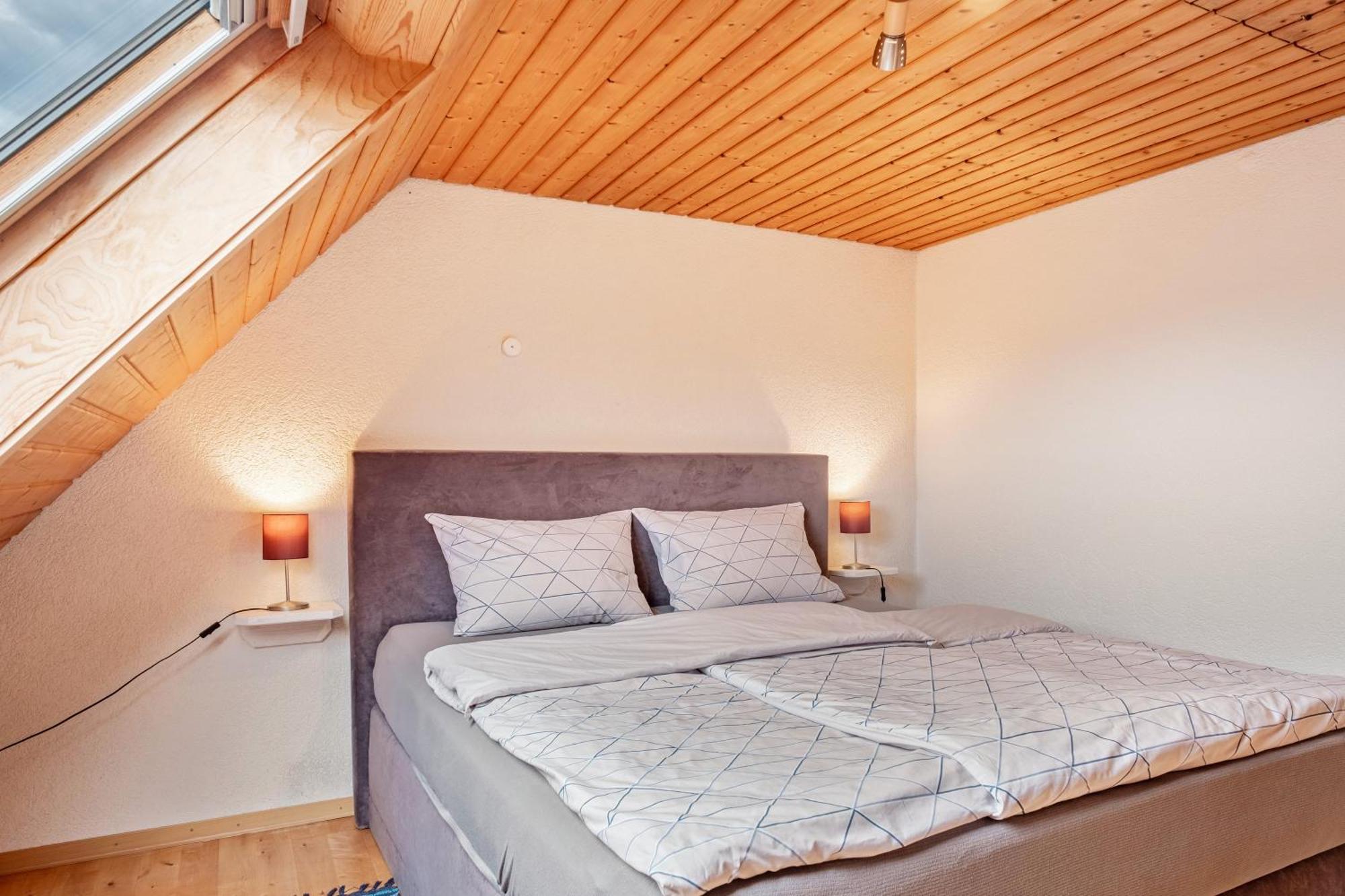 Appartement Lehen フライブルク エクステリア 写真